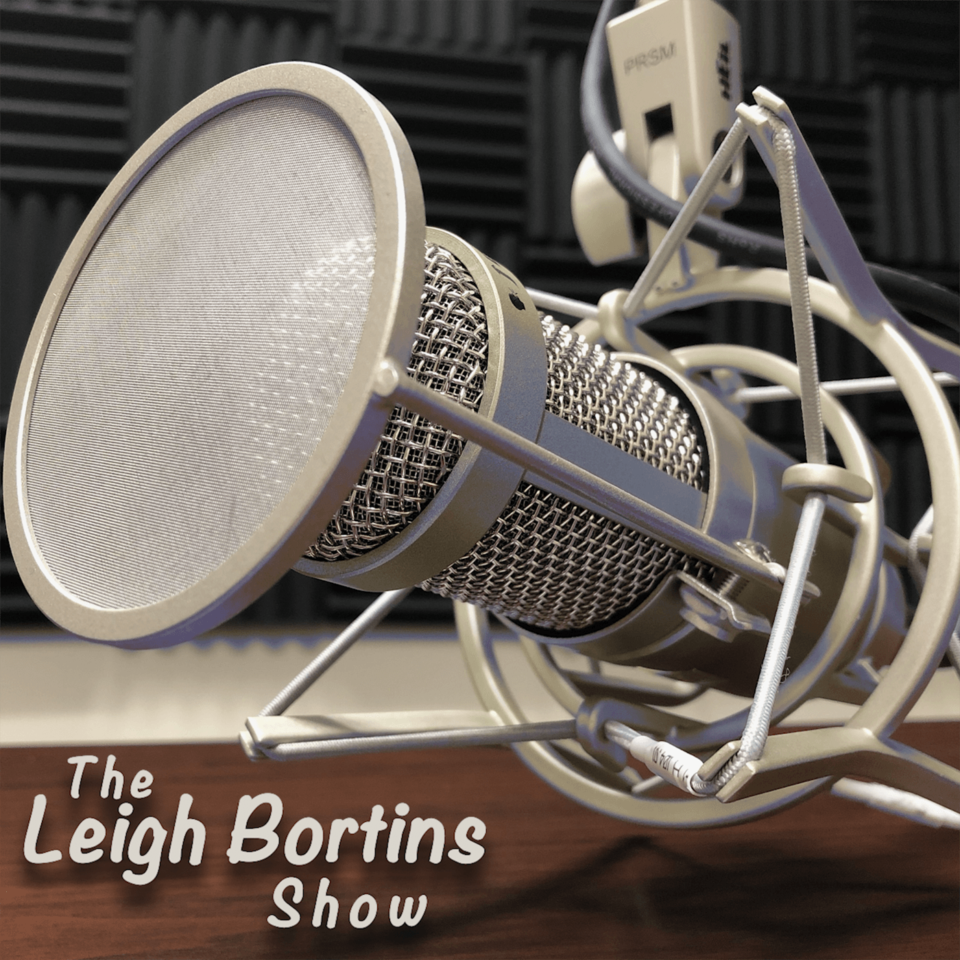The Leigh Bortins Show